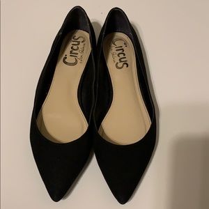 Circus by Sam Edelman black pointed flats
